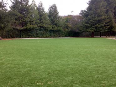 Artificial Grass Photos: Fake Turf Walnut Park California Lawn  Parks